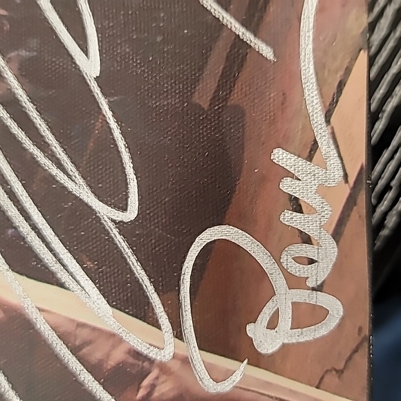 Autogtaphed Strange Music canvas VIP 2016 - Picture 7 of 17